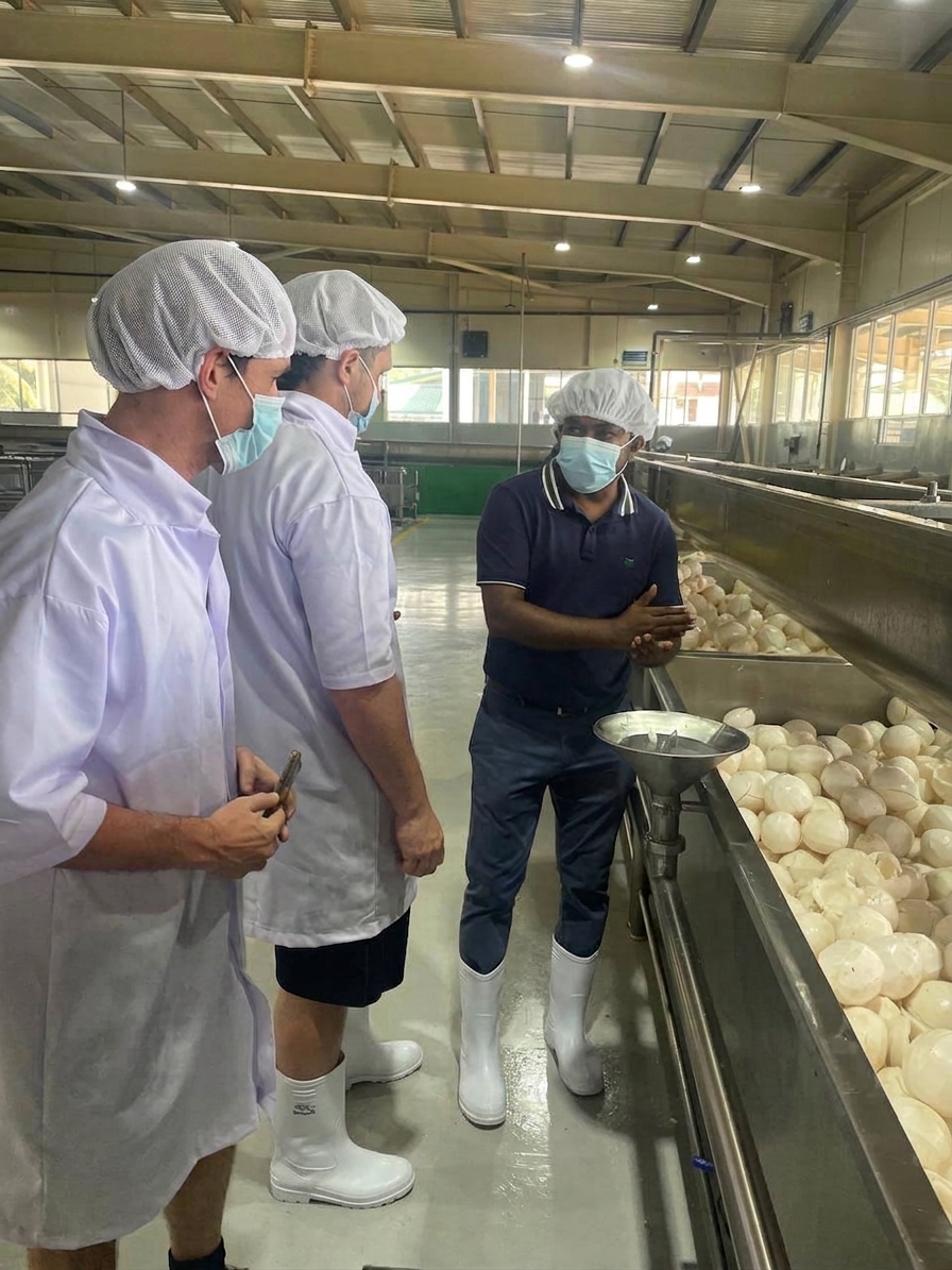 Modern Manufacturing & Food Standards